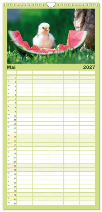 Hühner im Garten (CALVENDO Familienplaner 2027)