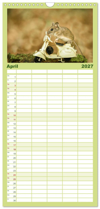 Geheimes Waldleben (CALVENDO Familienplaner 2027)