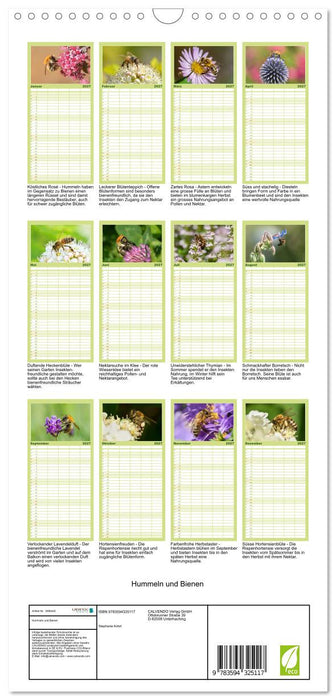 Hummeln und Bienen (CALVENDO Familienplaner 2027)