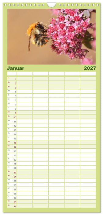 Hummeln und Bienen (CALVENDO Familienplaner 2027)