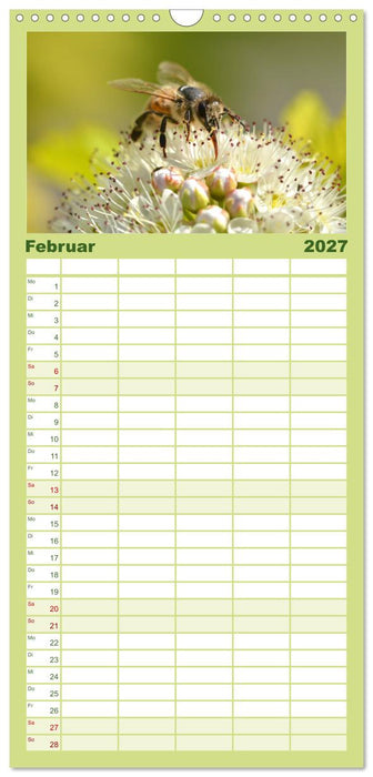 Hummeln und Bienen (CALVENDO Familienplaner 2027)