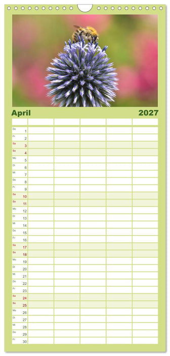 Hummeln und Bienen (CALVENDO Familienplaner 2027)