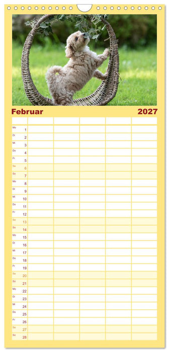 Maltipoo Welpen (CALVENDO Familienplaner 2027)