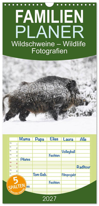 Wildschweine – Wildlife Fotografien (CALVENDO Familienplaner 2027)