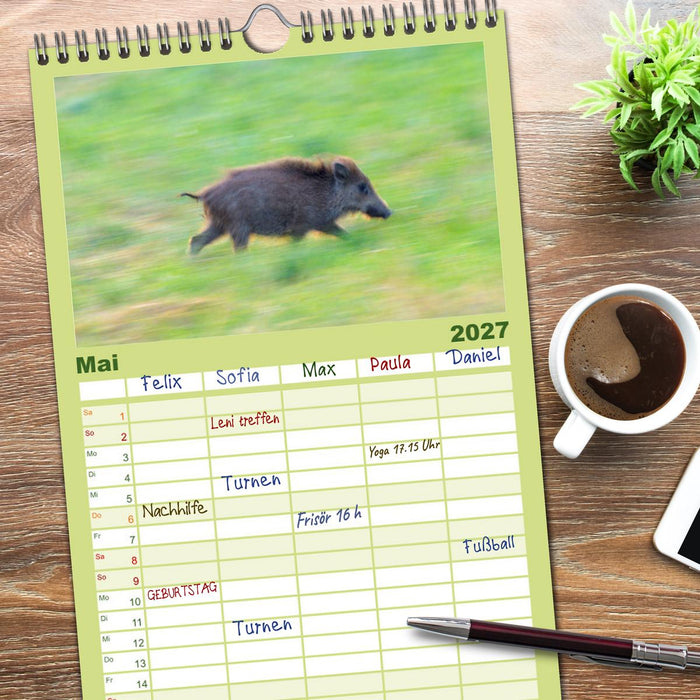 Wildschweine – Wildlife Fotografien (CALVENDO Familienplaner 2027)