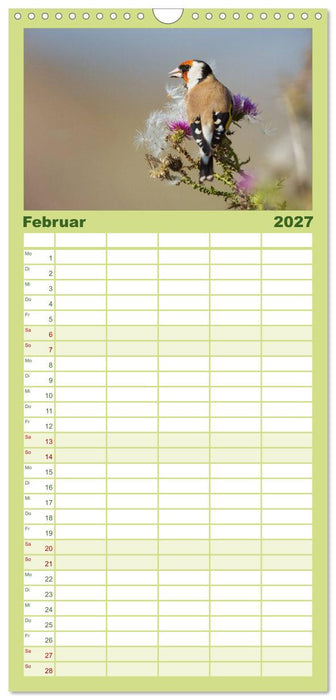 Das faszinierende Reich der Vögel (CALVENDO Familienplaner 2027)