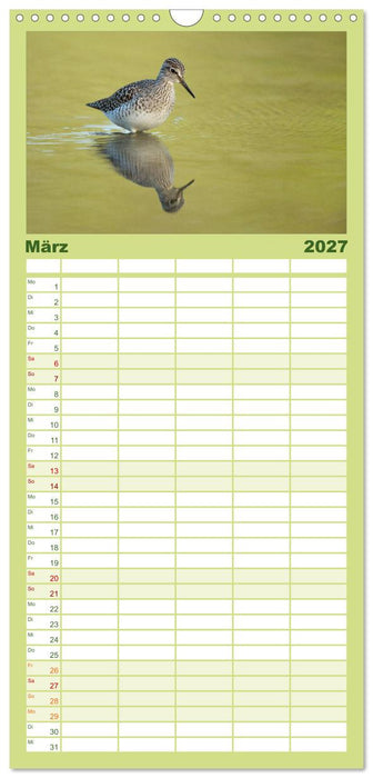 Das faszinierende Reich der Vögel (CALVENDO Familienplaner 2027)