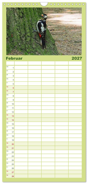 Heimische Vögel und Insekten in Wald und Flur (CALVENDO Familienplaner 2027)
