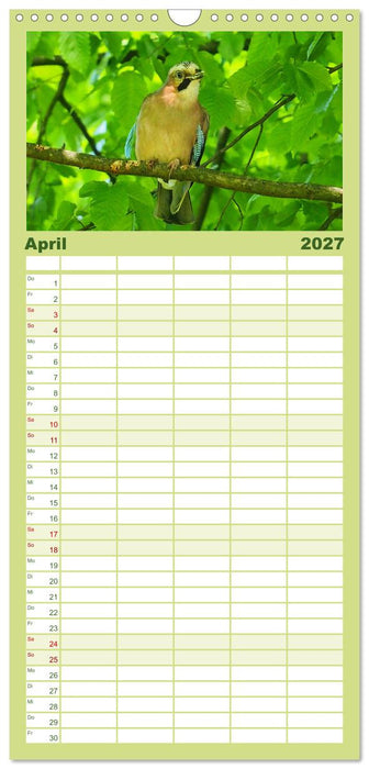 Heimische Vögel und Insekten in Wald und Flur (CALVENDO Familienplaner 2027)