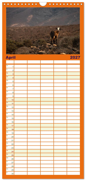 Fuerteventura - Reise über die Vulkaninsel (CALVENDO Familienplaner 2027)