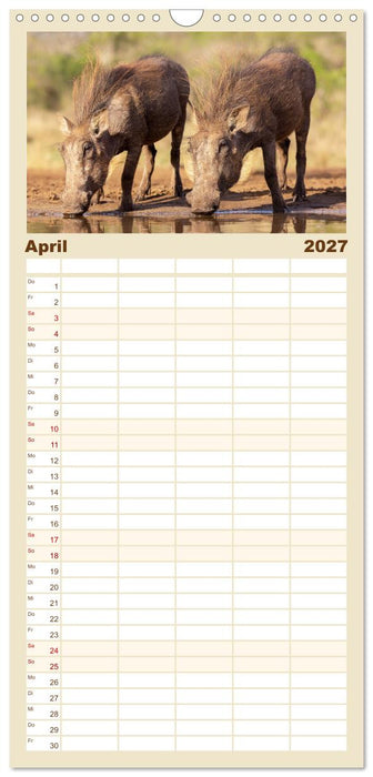 Südafrika wunderbare Tierwelt (CALVENDO Familienplaner 2027)