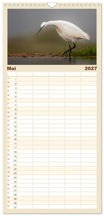 Südafrika wunderbare Tierwelt (CALVENDO Familienplaner 2027)