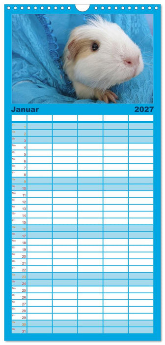 Familienplaner MEERSCHWEINCHEN verzaubern uns (CALVENDO Familienplaner 2027)