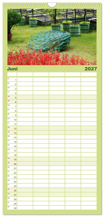 Die Pfaueninsel in Berlin (CALVENDO Familienplaner 2027)