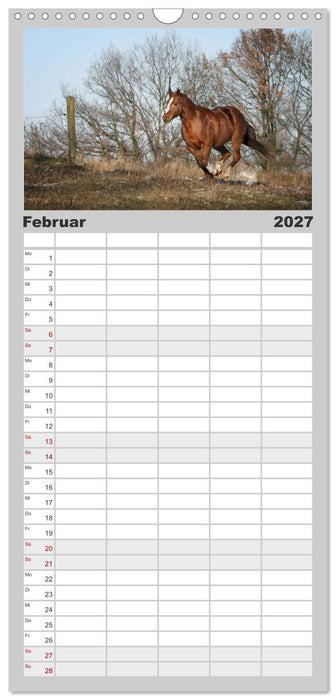 Faszination Westernpferde (CALVENDO Familienplaner 2027)
