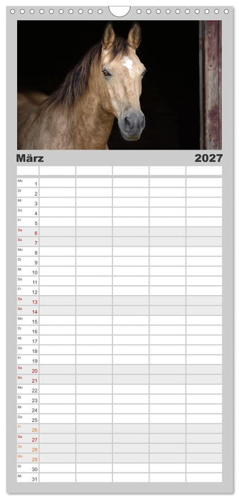Faszination Westernpferde (CALVENDO Familienplaner 2027)