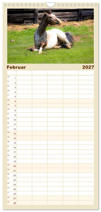 Grüße von der Alm (CALVENDO Familienplaner 2027)
