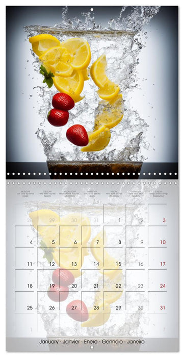 Le grand plongeon (CALVENDO Calendrier mensuel 2027)