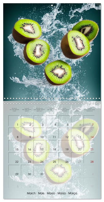Le grand plongeon (CALVENDO Calendrier mensuel 2027)