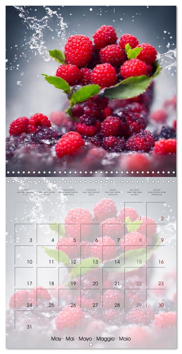 Le grand plongeon (CALVENDO Calendrier mensuel 2027)