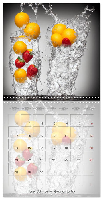 Le grand plongeon (CALVENDO Calendrier mensuel 2027)