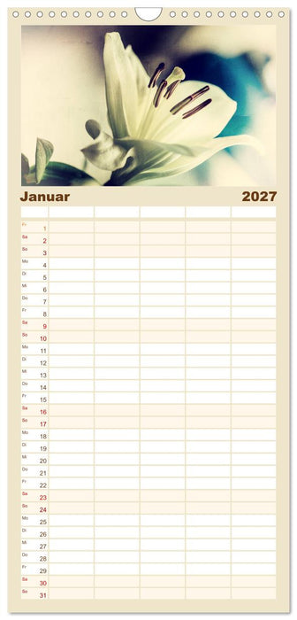 Blüten im Retro-Style (CALVENDO Familienplaner 2027)