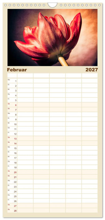 Blüten im Retro-Style (CALVENDO Familienplaner 2027)