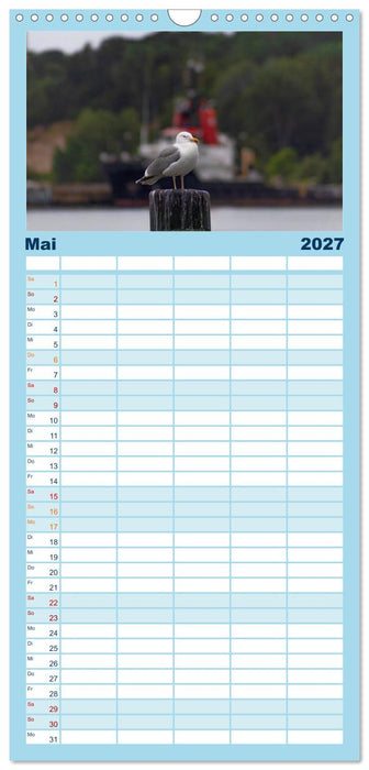 Rügen Träume (CALVENDO Familienplaner 2027)