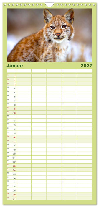 Die Tiere des Waldes (CALVENDO Familienplaner 2027)