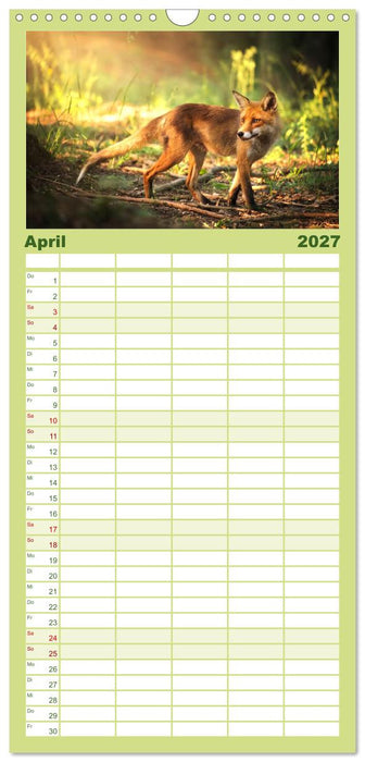 Die Tiere des Waldes (CALVENDO Familienplaner 2027)