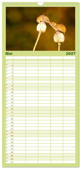 Die Tiere des Waldes (CALVENDO Familienplaner 2027)