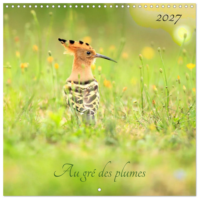 Au gré des plumes (CALVENDO Calendrier mensuel 2027)