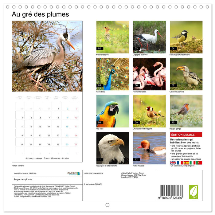 Au gré des plumes (CALVENDO Calendrier mensuel 2027)