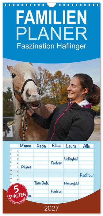 Faszination Haflinger (CALVENDO Familienplaner 2027)