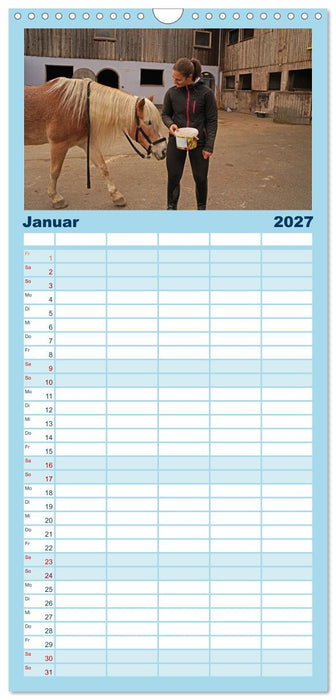 Faszination Haflinger (CALVENDO Familienplaner 2027)