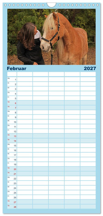 Faszination Haflinger (CALVENDO Familienplaner 2027)