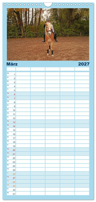 Faszination Haflinger (CALVENDO Familienplaner 2027)