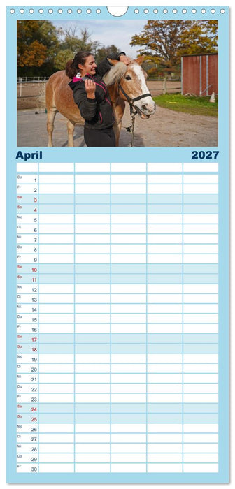 Faszination Haflinger (CALVENDO Familienplaner 2027)