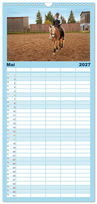 Faszination Haflinger (CALVENDO Familienplaner 2027)