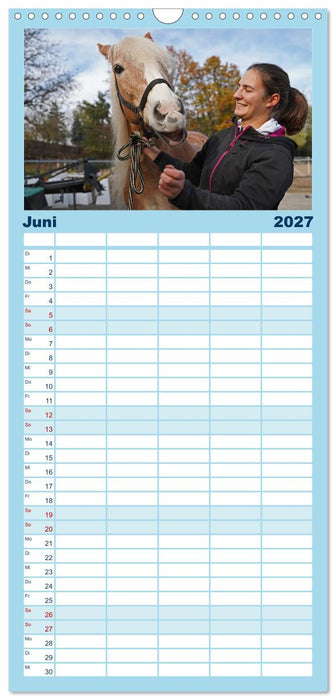 Faszination Haflinger (CALVENDO Familienplaner 2027)