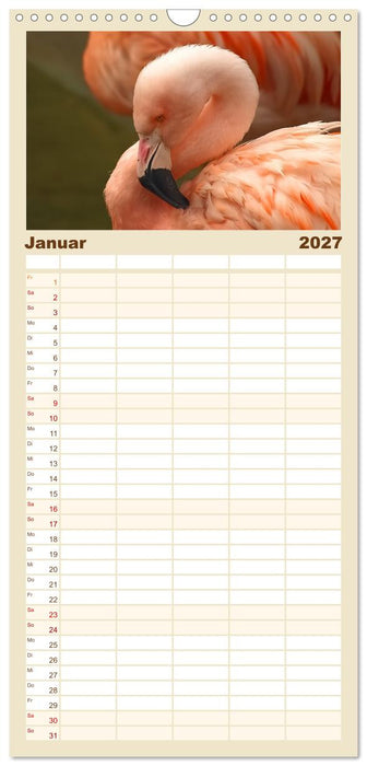 Flamingo Zauber (CALVENDO Familienplaner 2027)