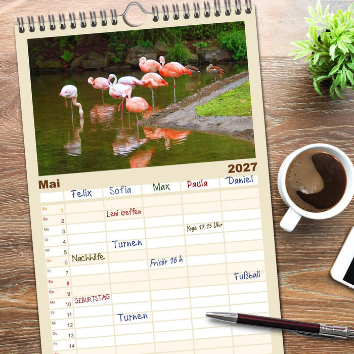 Flamingo Zauber (CALVENDO Familienplaner 2027)