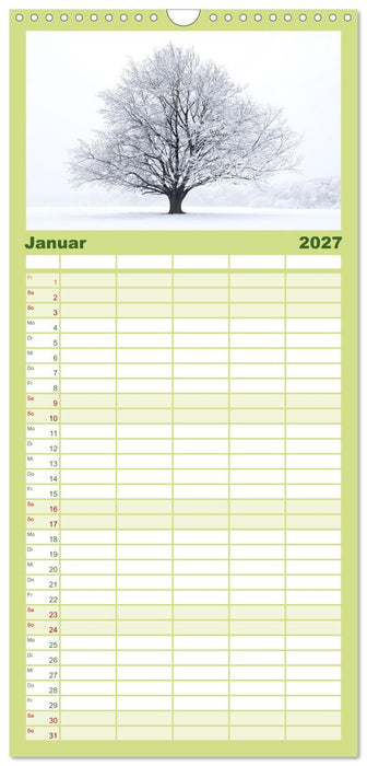 Die Buche: 12 Baumporträts (CALVENDO Familienplaner 2027)