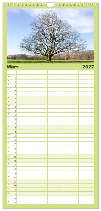 Die Buche: 12 Baumporträts (CALVENDO Familienplaner 2027)