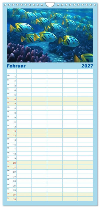 Fantasie bei die Fische! (CALVENDO Familienplaner 2027)