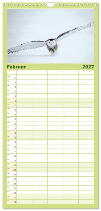 Eulen - Wachsame und geheimnisvolle Augen (CALVENDO Familienplaner 2027)