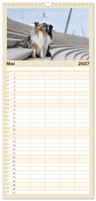 Hunde in der City - Unterwegs in Hamburg (CALVENDO Familienplaner 2027)