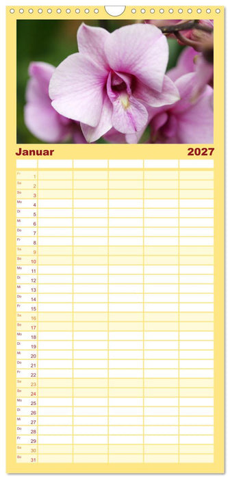 Mein Orchideentraum (CALVENDO Familienplaner 2027)