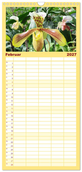 Mein Orchideentraum (CALVENDO Familienplaner 2027)