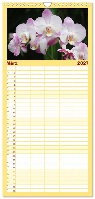 Mein Orchideentraum (CALVENDO Familienplaner 2027)
